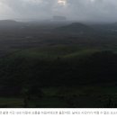 비자림빌리지 이미지