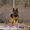 꽃지비치하우스 이미지