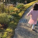 안성맞춤랜드공원5 이미지