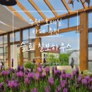 수원 호매실 카페 슬로 칠보하우스 후기 | 라벤더 정원과 베이커리를 함께 즐기는 대형카페
