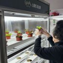 강장골경로당 이미지