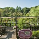 바다향기수목원(도서식물원) 이미지