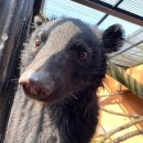 곰두마리농장 이미지