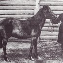 말