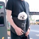 그루밍조이 이미지