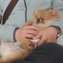 이박사동물병원 이미지