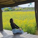 매일봄 | 포항 호미곶 카페 어스피스, 바다뷰 힐링카페