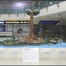 효리PC 이미지