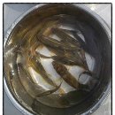 숲속의 샘물 캠핑장 이미지