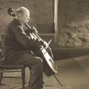 시디인터내셔널 이미지