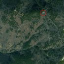 YOLO갈맷길 8코스 이미지