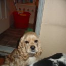 뭉치 - 동두천시 | 뭉치