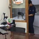 서울한빛동물병원 이미지