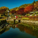 배론성지 이미지