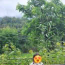 히든빌리지 이미지