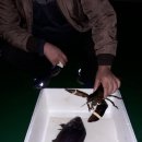 파도실내바다낚시터 이미지