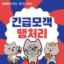 [가족여행 강력추천 상품⭐] ﻿부산출발 오사카 유니버셜패키지 2박3일 긴급모객♡ 이미지