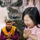 [기술보증기금] 인턴 면접 후기 및 분위기