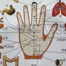 다온의료기 이미지