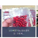 벼리농장 이미지