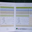 용인씨씨 이미지