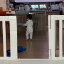 수호소프트 | 팸퍼스 흡수력 대박♡ 우리아이 낮밤을 지켜주는 수호천사