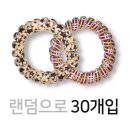 스프링헤어 이미지