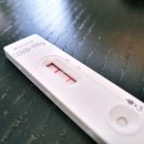 선거보건진료소 | [실용] 코로나 자가진단키트 양성 후 PCR 무료검사와 비대면진료 ● 자기기입식 역학조사 방법