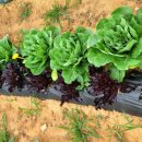 공북2리경로당 이미지