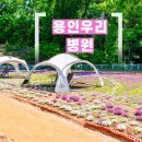 강남수요양병원 | 위암 수술 후 식사 관리 총정리, 강남세브란스병원 근처 암요양병원
