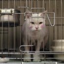 로얄벳 동물병원 이미지