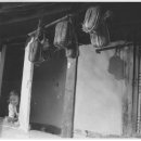 사천보건지소 네이버블로그