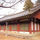 순천-56호 이미지