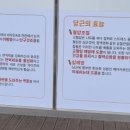 팔마로 이미지