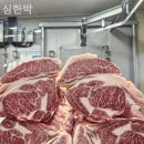 심한박