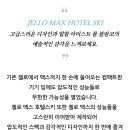 잠실너구리 이미지