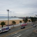 영일대 인생펜션 이미지