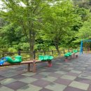 송이밸리자연휴양림 이미지