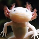 시크릿714 이미지