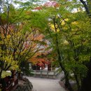 에스엔메딕스 이미지