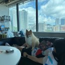 너를담다수변점 이미지