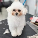 수원-0591 이미지