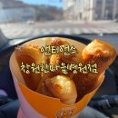 한마음앤티앤스