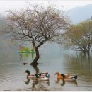 봉암동수원지입구 이미지