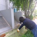 삼성캐노피
