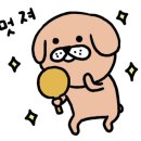 바람모터스 이미지