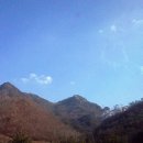 비원식당 이미지