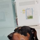 우람동물병원 이미지