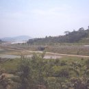 박순자농장 이미지