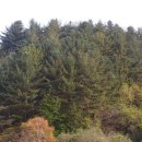 신간2리마을회관 이미지